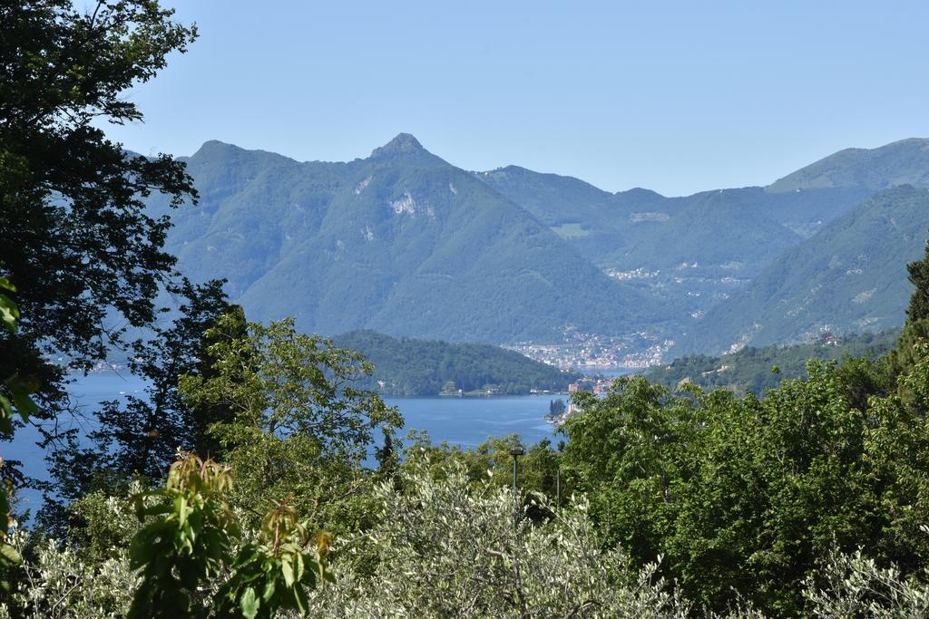 Diffuso Il Portichetto Vezio